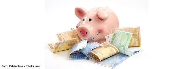 Symbolbild: Sparschwein und Geldscheine