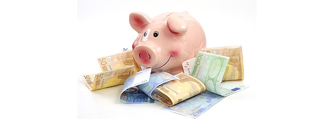 Symbolbild: Sparschwein und Geldscheine